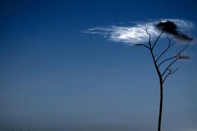 Cloud In Grey Sky   (