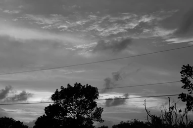 Grey Evening Sky