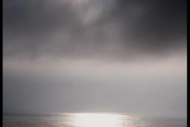 GreMlin72 (are You Stoned, Or Just Stupid??)   DeviantArt