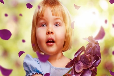 Refreshing And Beautiful Flowers Wallpapers