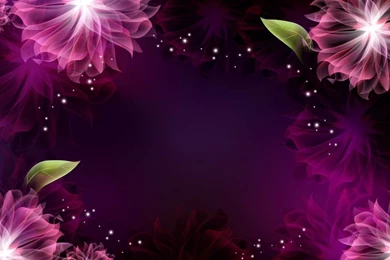 Abstract purple flower full screen image hd desktop wallpapers for background 1024x640.jpg