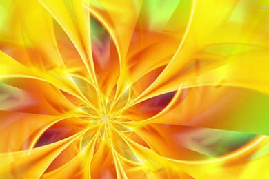 Flowers Images Download Download