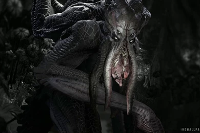 Kraken HD Wallpapers   IHD Wallpapers