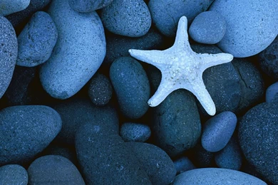 Top android phone_00166002.jpg