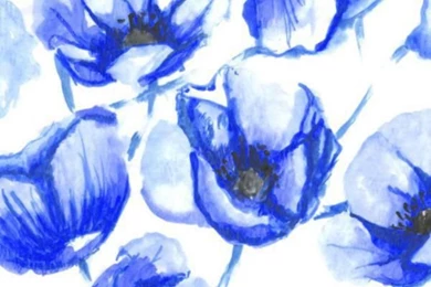 24 Cell Phone Backgrounds That Will Get You In The Mood For Summer ...