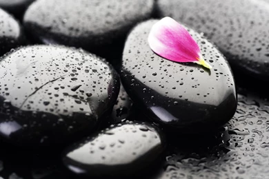 Zen Computer Wallpapers, Desktop Backgrounds