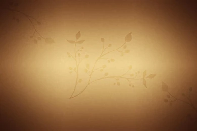 Zen Wallpapers Hd C69