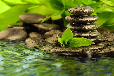 Spa Zen Stones Wallpapers By BillGate