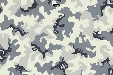 Camo_c_s.jpg