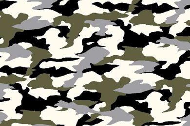 HD Great Camouflage PC Wallpapers Full Size   HiReWallpapers 2395