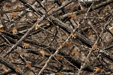 16983) Camo Full HD Pics Wallpapers   WalOps.com