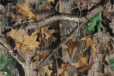 Camo Wallpapers For Computer   Bing Images