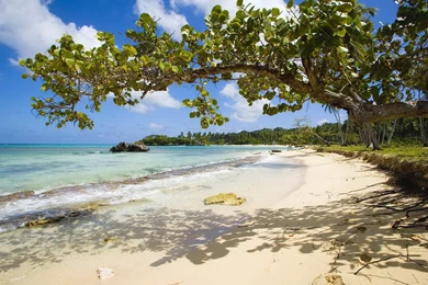 Free Wallpapers For Desktop Summer   Wallpapers Cave