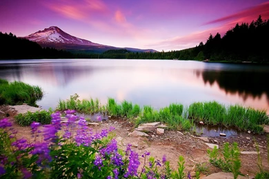 3d Hd Wallpapers Widescreen Nature