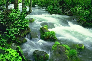 Widescreen Nature Desktop Wallpapers