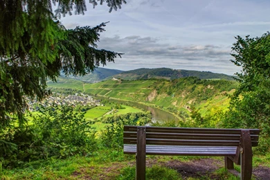 Hd Wallpapers, Widescreen Images, Free Download Images, Green, Sky ...