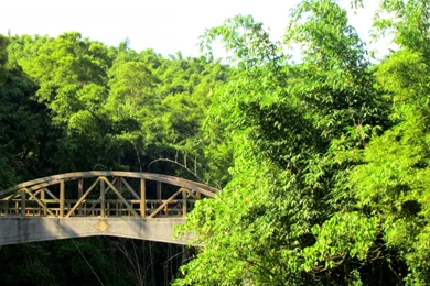 Climbing Tag Wallpapers: Suspension Bridge Mountain Swinging ...