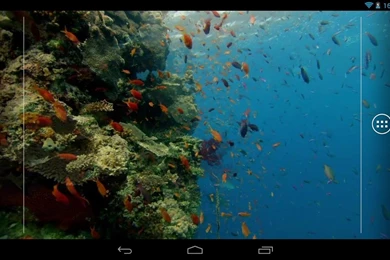 Kitkat Fish Live Wallpapers   Android Apps & Games On Brothersoft.com