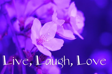Live Love Laugh Pictures   Wallpapers HD Wide