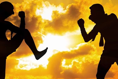 A.D.D.I. M.A.O.   Martial Arts Association