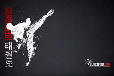 Taekwondo Wallpapers   Wallpapers Cave