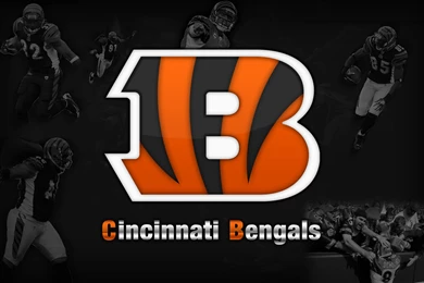 Bengals Wallpapers 1  1680x1050 By Jraider5 On DeviantArt