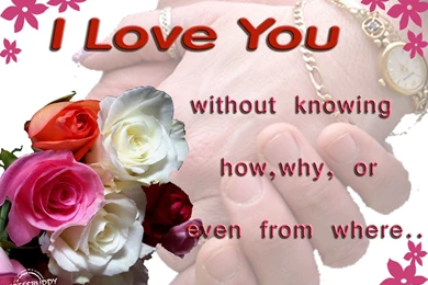 I Love You Quotes Wallpapers   Wallpapers Cave