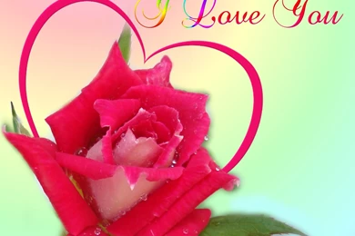 I Love You Wallpapers 19 Backgrounds   Hdlovewall.com