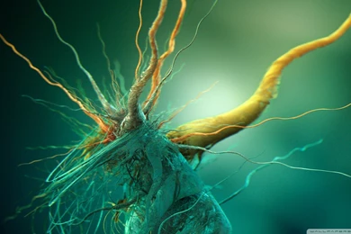 Wallpapers For PC Free   Wallpapers For Desktop