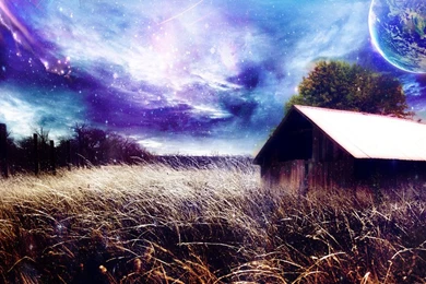 Themed Wallpapers 2015   Grasscloth Wallpapers