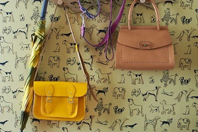 Hallway With Dog themed Wallpapers