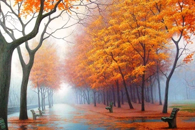 Autumn Park Avenue Benches Trees Leaf Asphalt Painting Art HD ...