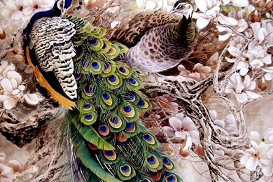 Paintings HD Wallpapers