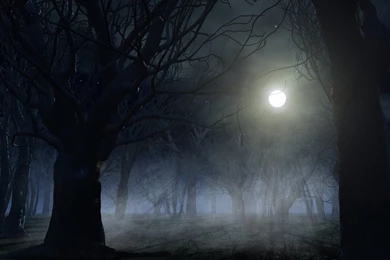 Horror Movie Or Holy Bible?