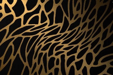 Pictures Of Cheetah Print Wallpapers   Wallpapers Cave