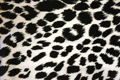 Black Cheetah Wallpapers   Wallpapers Cave