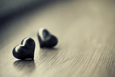 19個關於戀愛的絕妙比喻  MSTORY 資訊網站