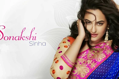 Bollywood Celebrity Sonakshi Sinha, Bollywood Actress Sonakshi ...