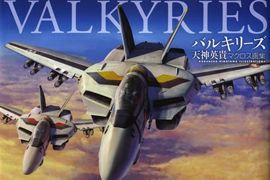 Photo 28 Of 37, Robotech