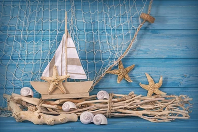 Marine Life Decoration   (