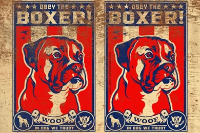 Boxer Dog Wallpapers