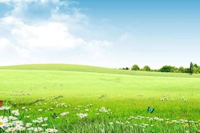 Spring Live Wallpapers   Android Apps And Tests   AndroidPIT