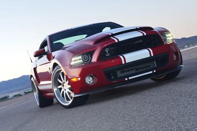 Jestingstock.com 2013 Super Snake Wallpapers