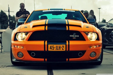 Shelby GT500 Super Snake HD Desktop Wallpapers : High Definition ...