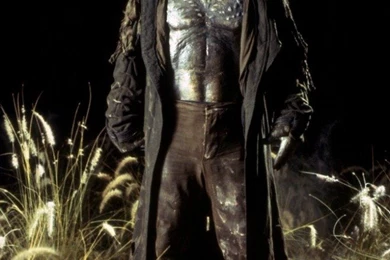 The Aculeus [ah KOO lee oos]: Jeepers Creepers