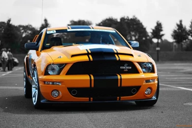 Ford Shelby GT500 Super Snake Wallpapers
