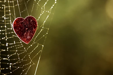 Download Wallpapers 3840x2400 Web, Heart, Background, Blurred Ultra ...