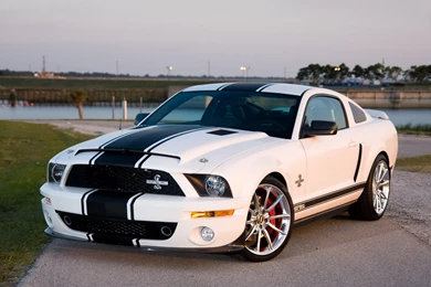 2008 Shelby GT500 Super Snake Muscle Ford Mustang G Wallpapers ...