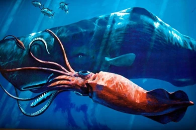 The Giant Squid Poster