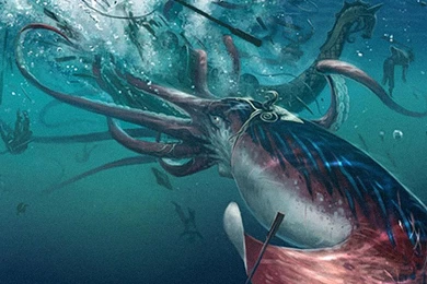Edith Widder: How We Found The Giant Squid